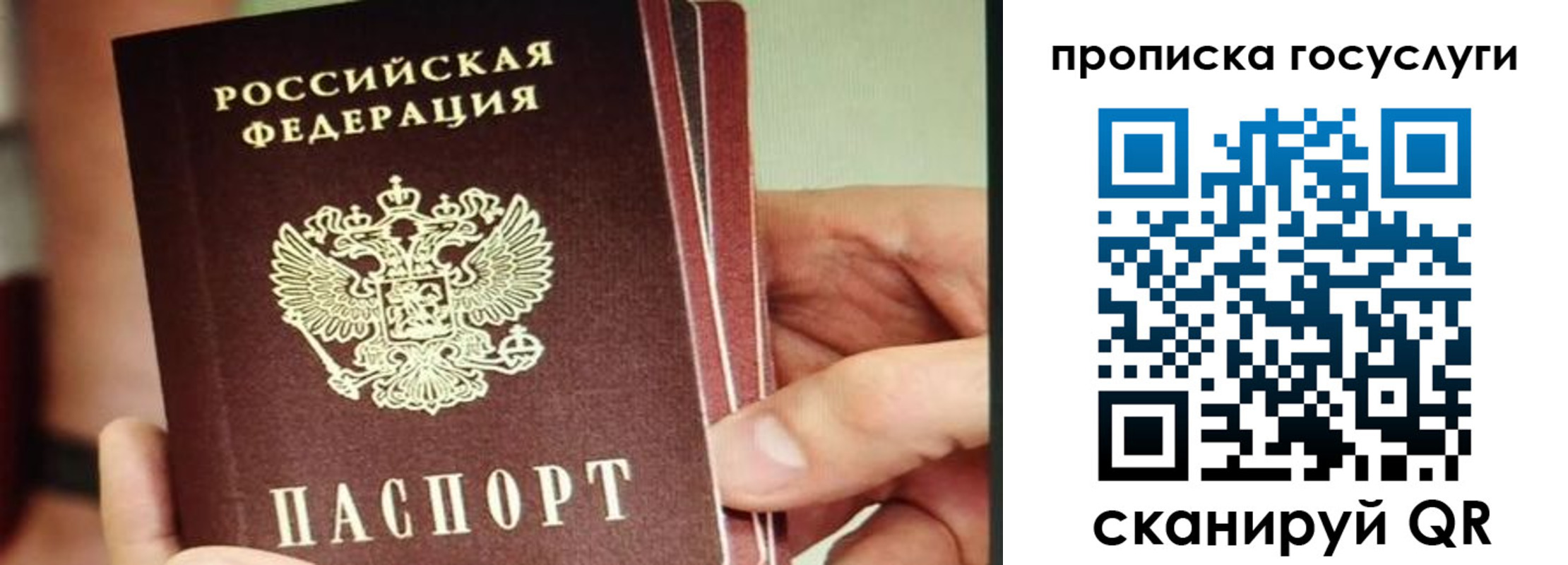пропишу в квартире в Богородске